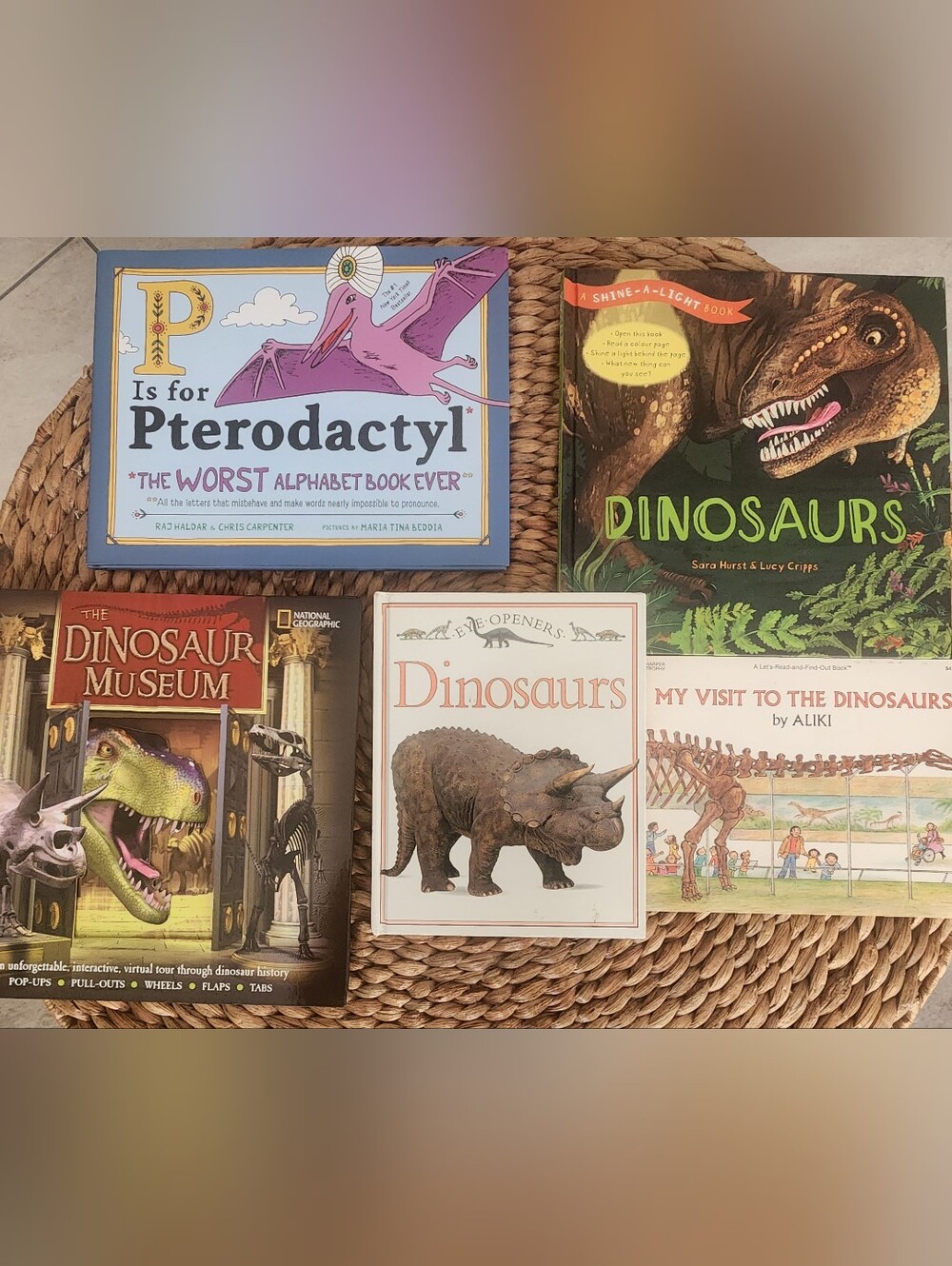 Dinosaurs Kids Book Bundle - 5 Books